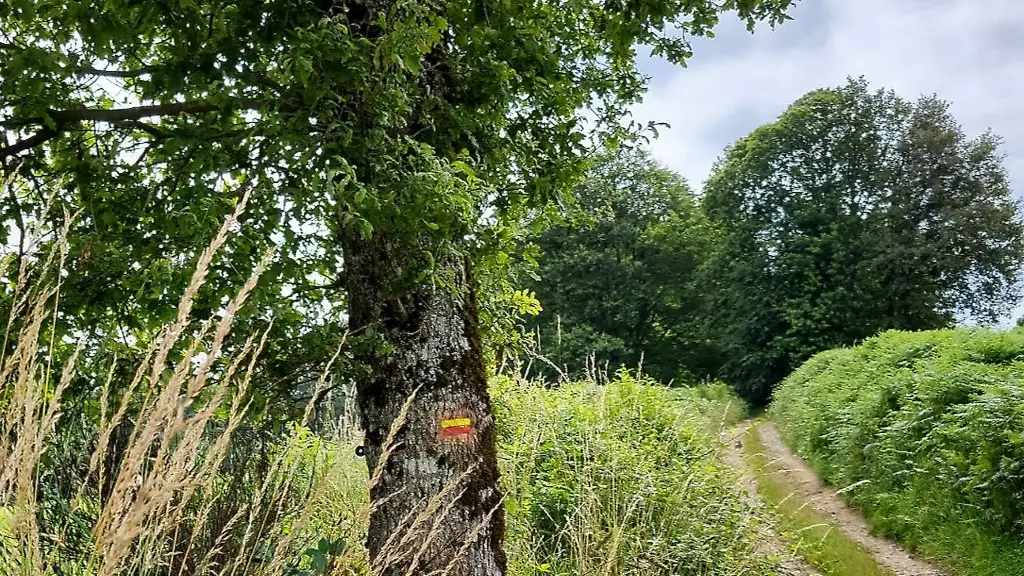Balisage dans le chemin de la Veytisou (Neuvic-Entier)