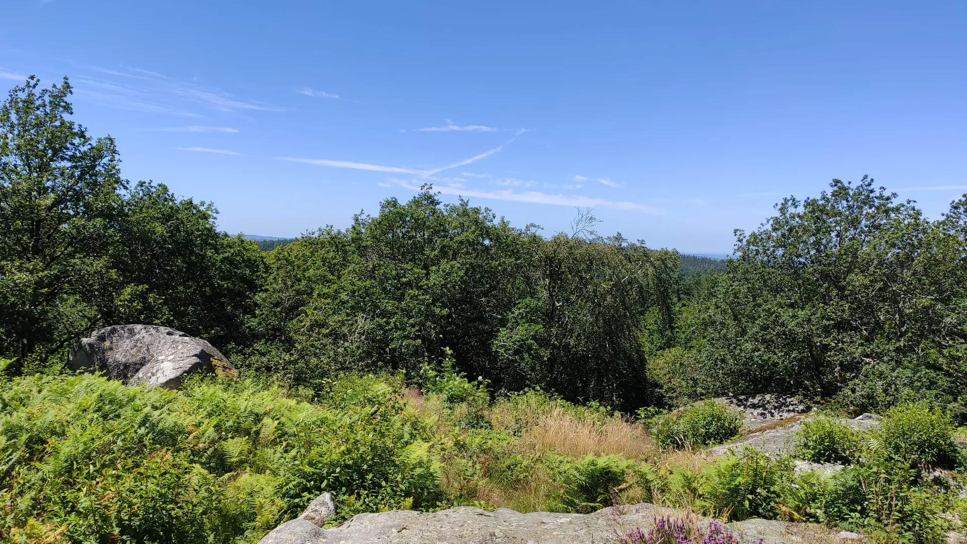 Beaumont-du-Lac - Autour du Bois de Crozat