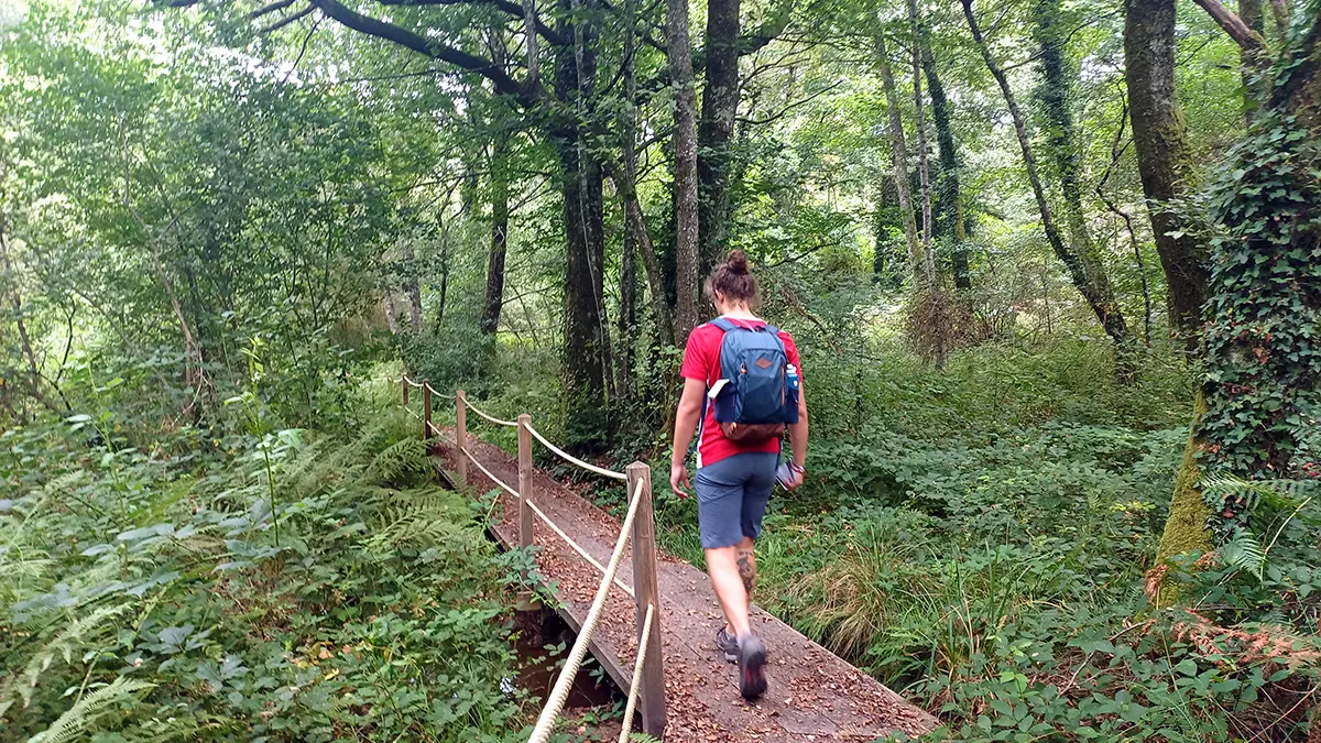 Circuit des planches Bessines