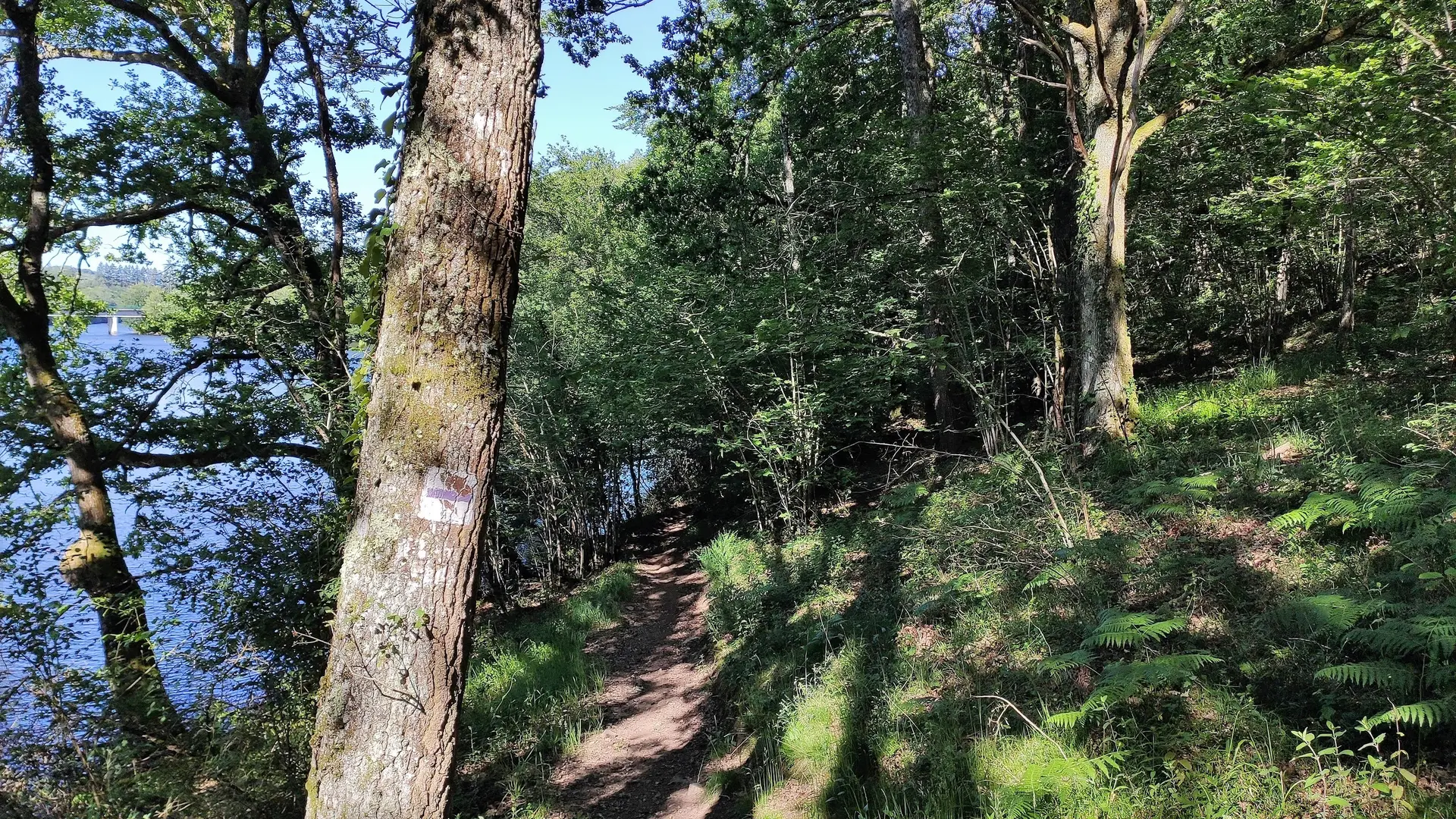 Bord de la Maulde et Pont du Martineix