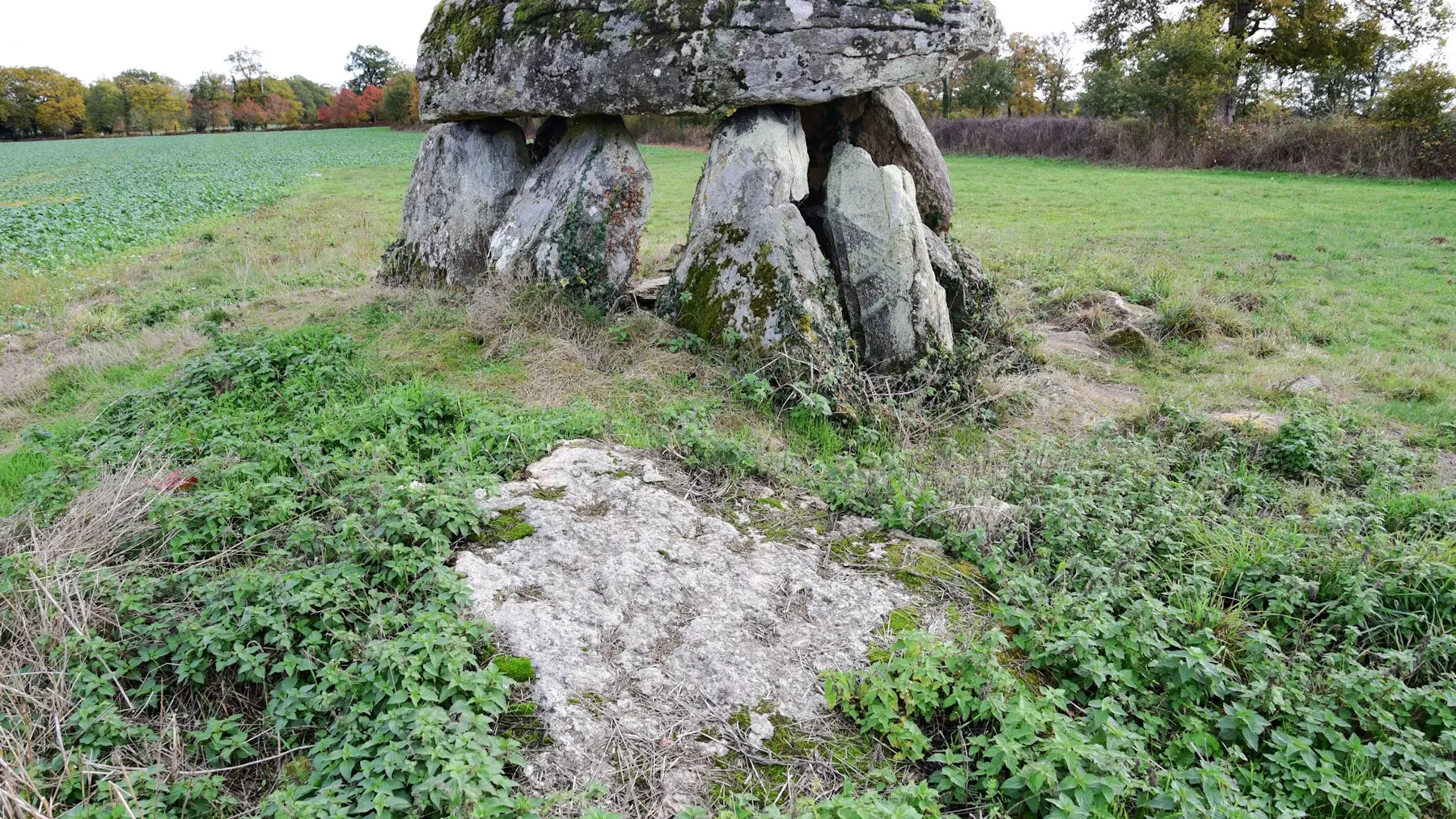 Dolmen de la Betoulle