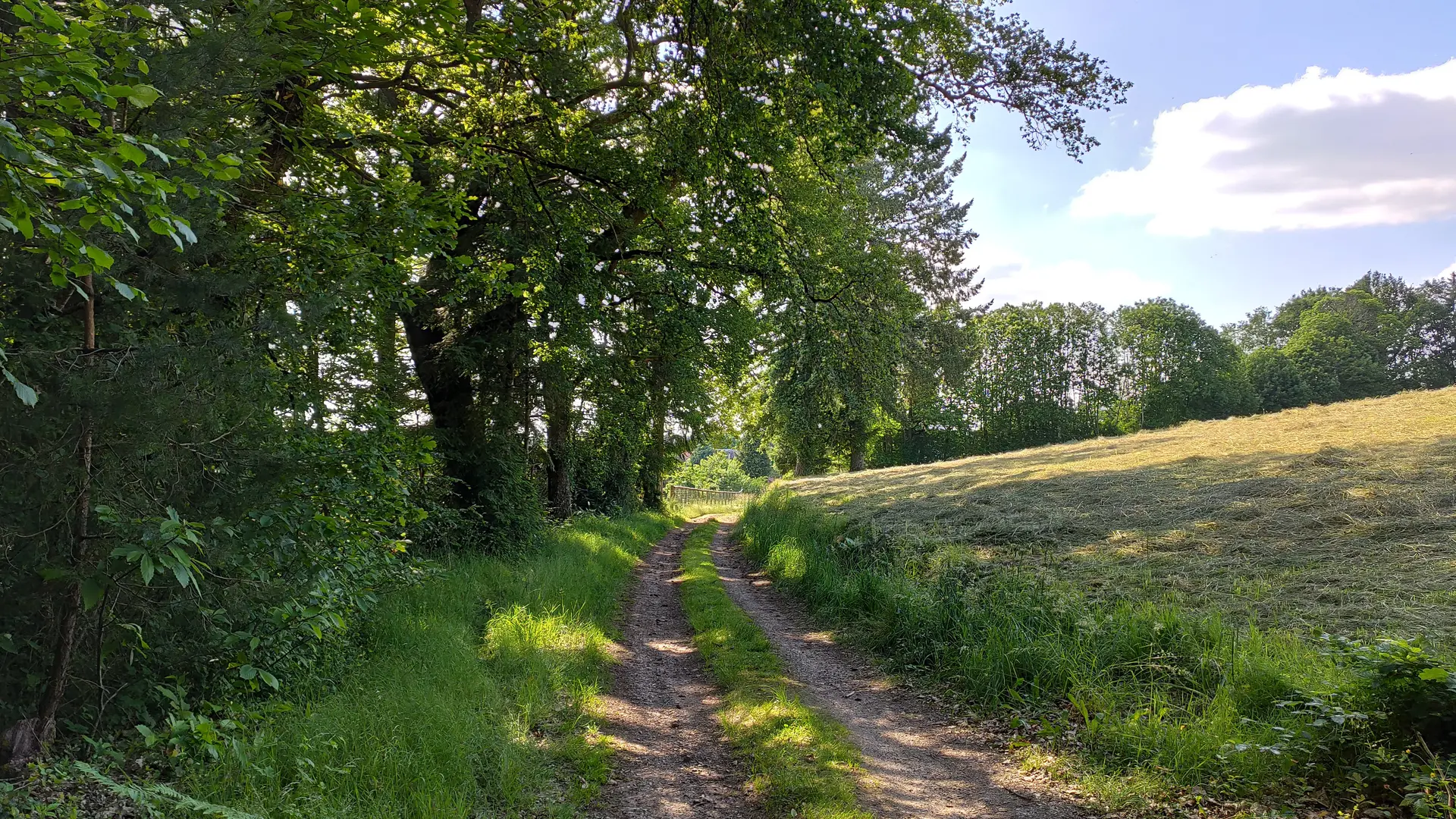 Bujaleuf - les Hauts de Bujaleuf - Pays Monts et Barrages - Aurélien Clavreul (2)