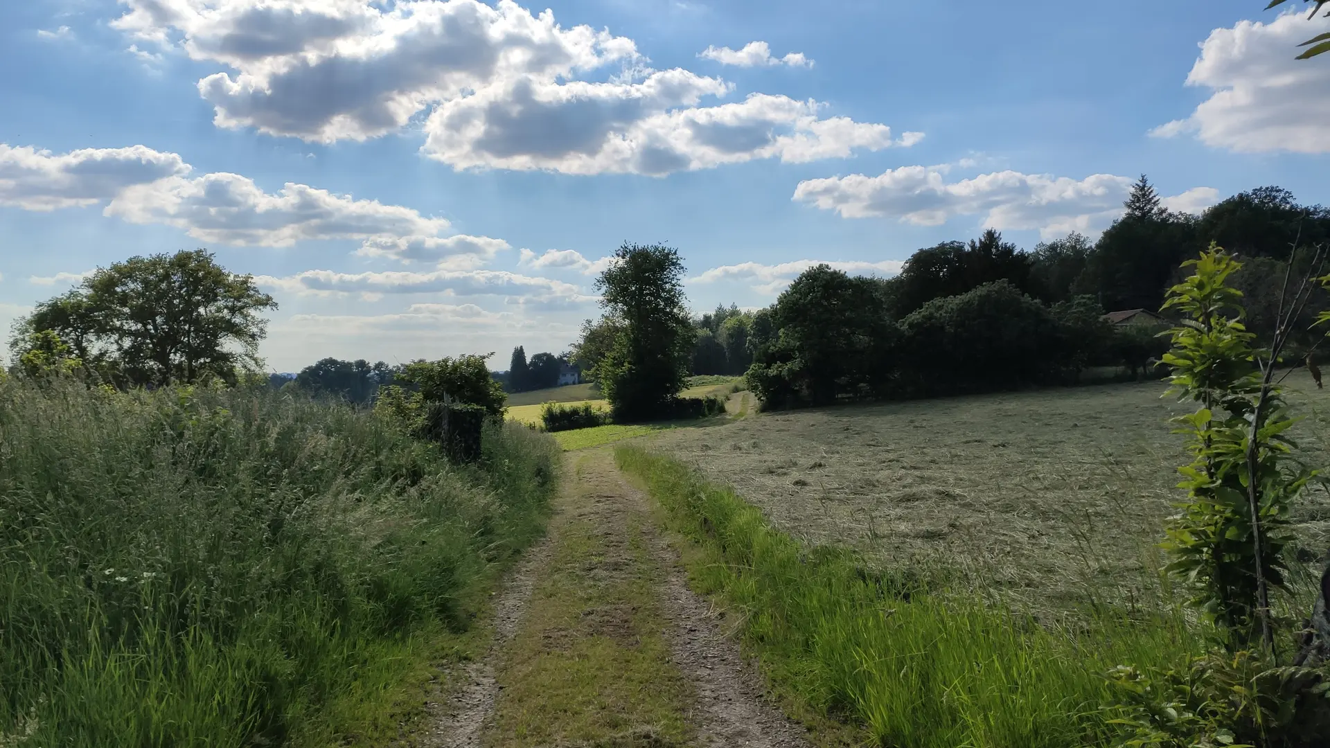 Bujaleuf - les Hauts de Bujaleuf - Pays Monts et Barrages - Aurélien Clavreul (3)