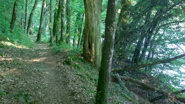 Sentier Les Hauts de Bujaleuf_3