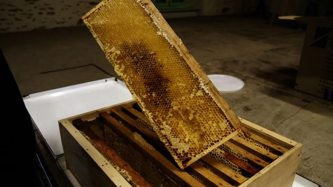 Le jardin aux abeilles à Magnac-Bourg