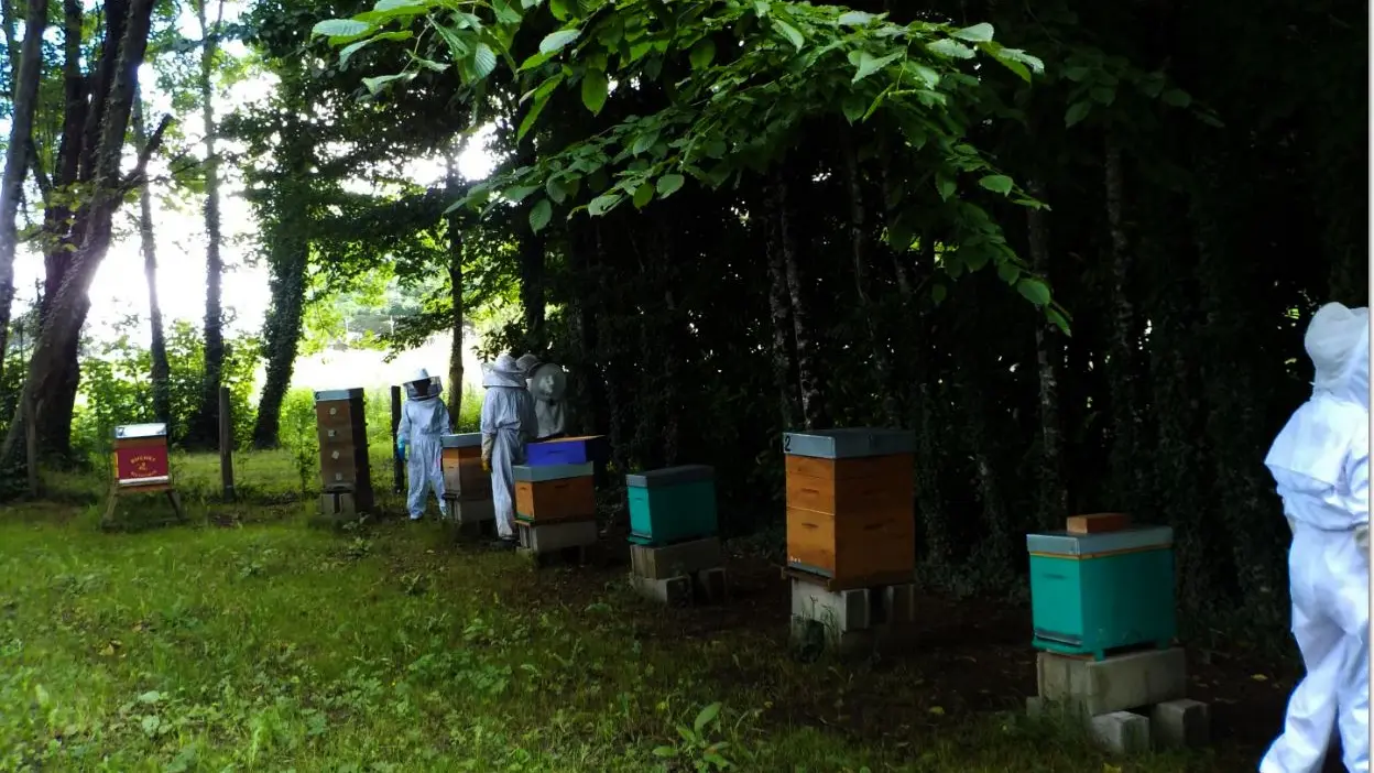 Le jardin aux abeilles à Magnac-Bourg