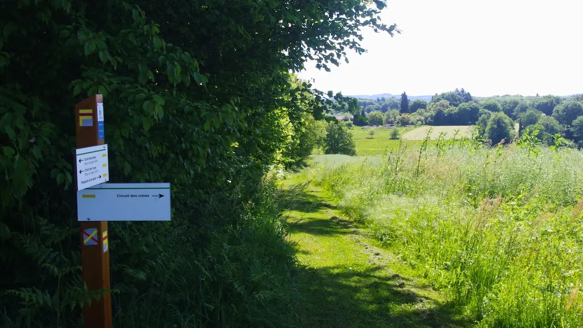 Carrefour des chemins du Puy du Boeuf(Champnétery) - Mai 2025