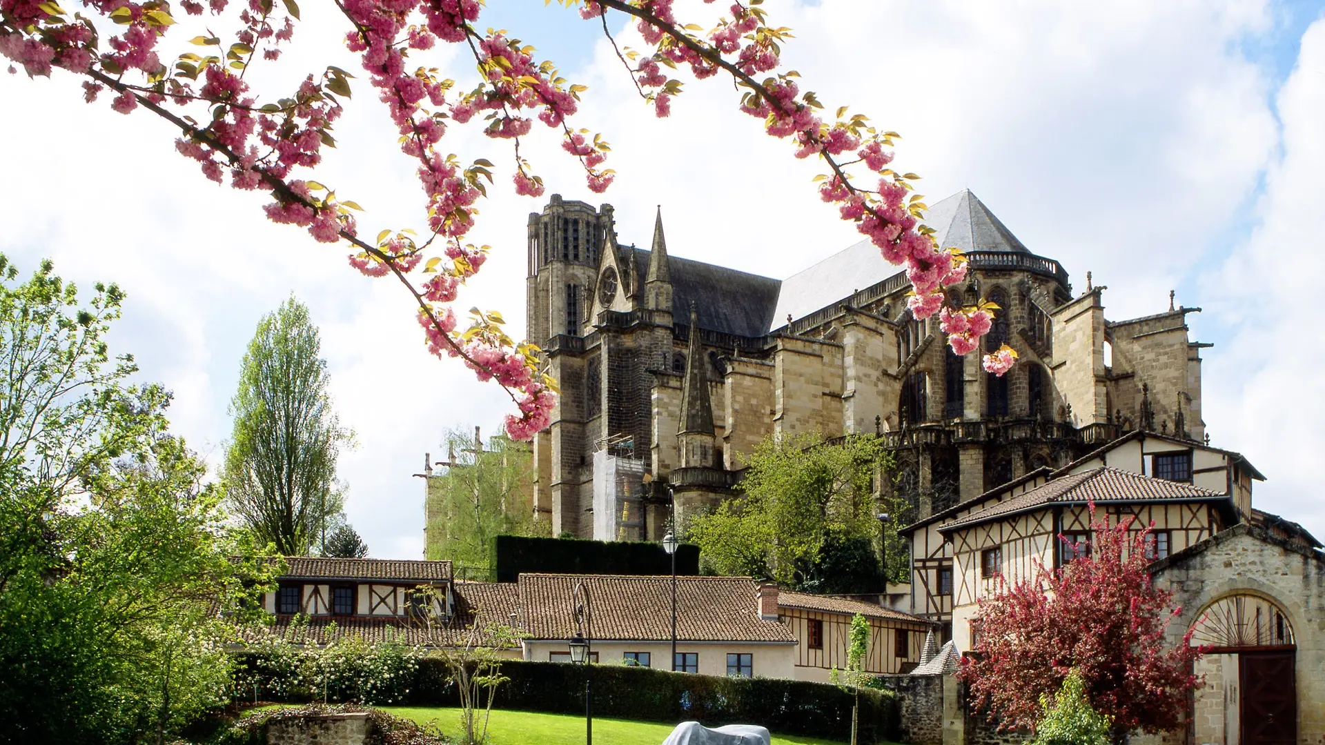 Cathédrale Saint-Etienne (D. GUILLEMAIN)