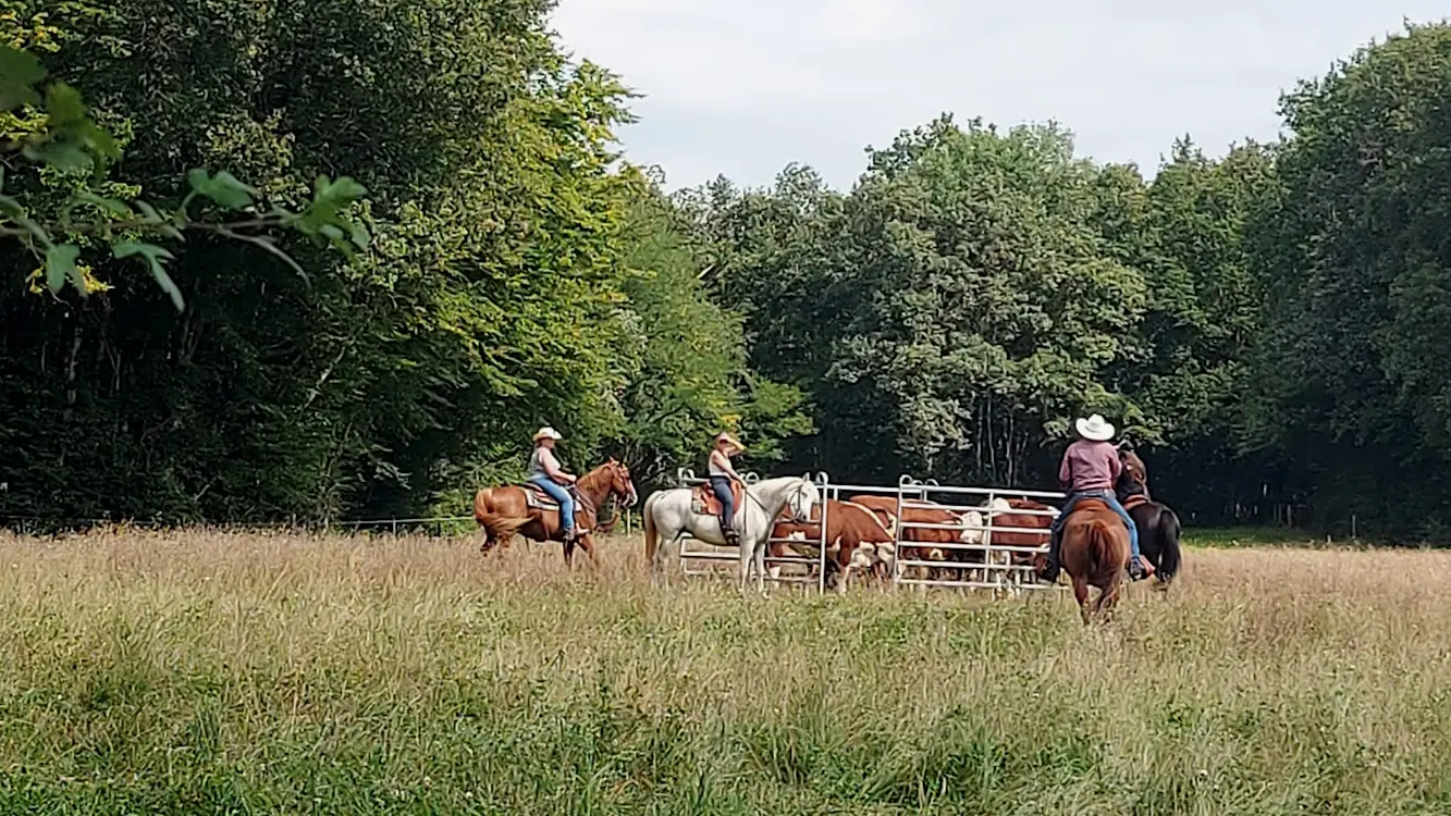 Centre équestre - Ranch Tashunka