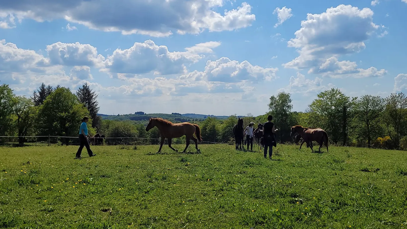 Centre équestre - Ranch Tashunka