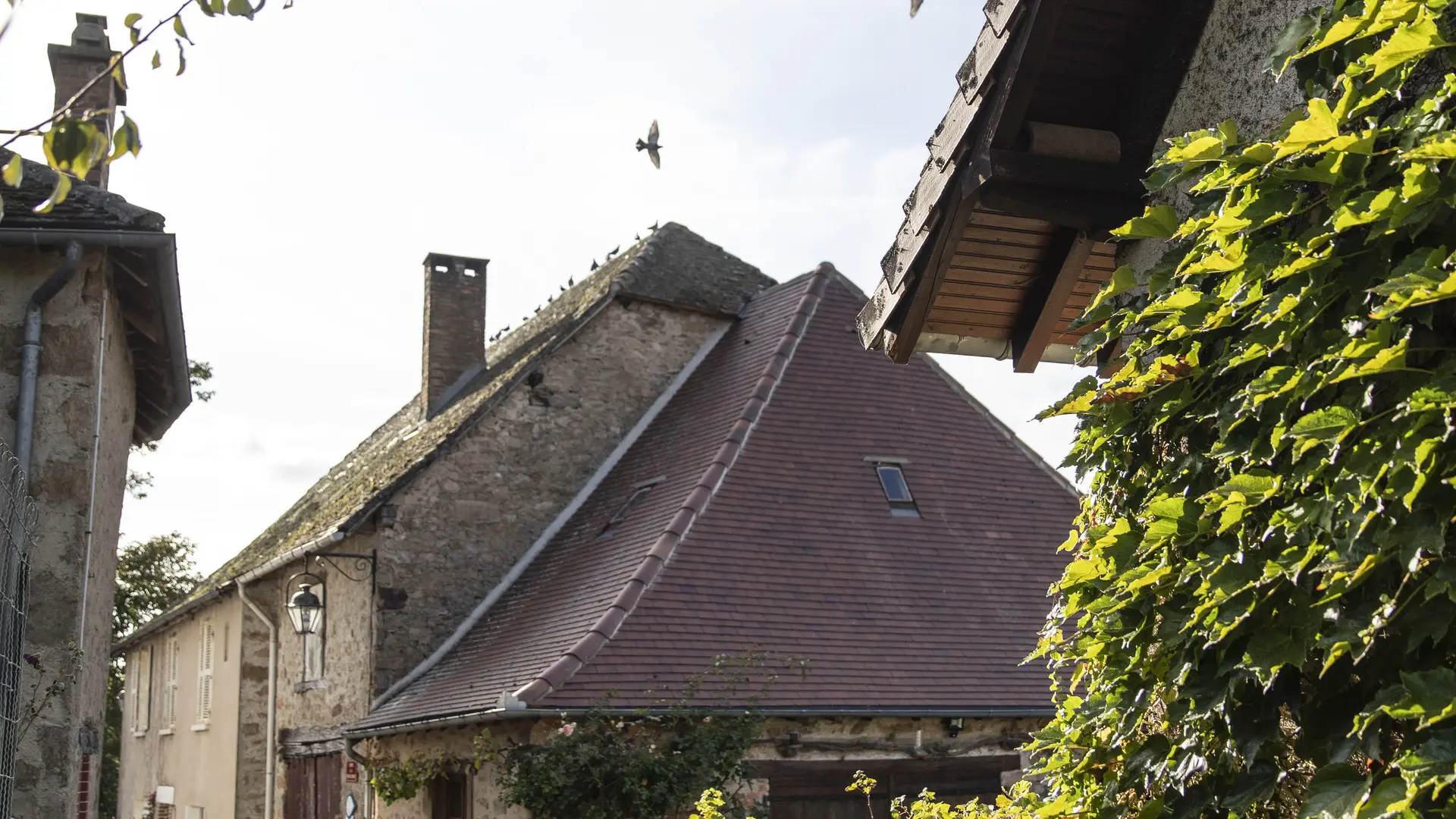 Chateau-Chervix (crédits photo chataigneraie5)