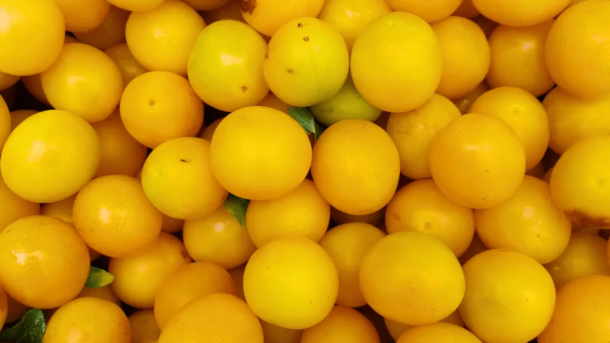 L'atelier des trois soeurs - Saint-Maurice-les-Brousses