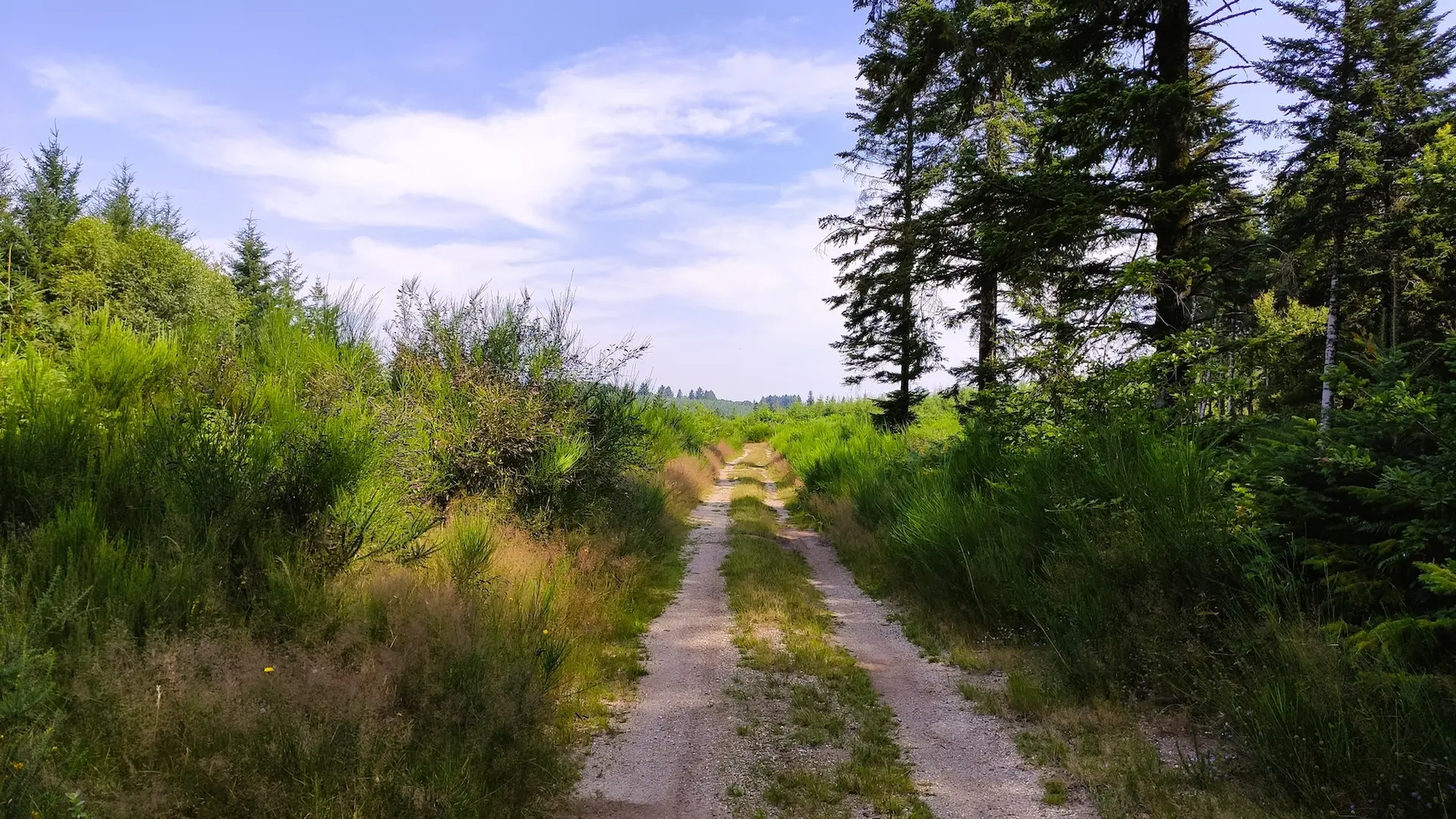 Champnétery - Chemin du Bois Jaury