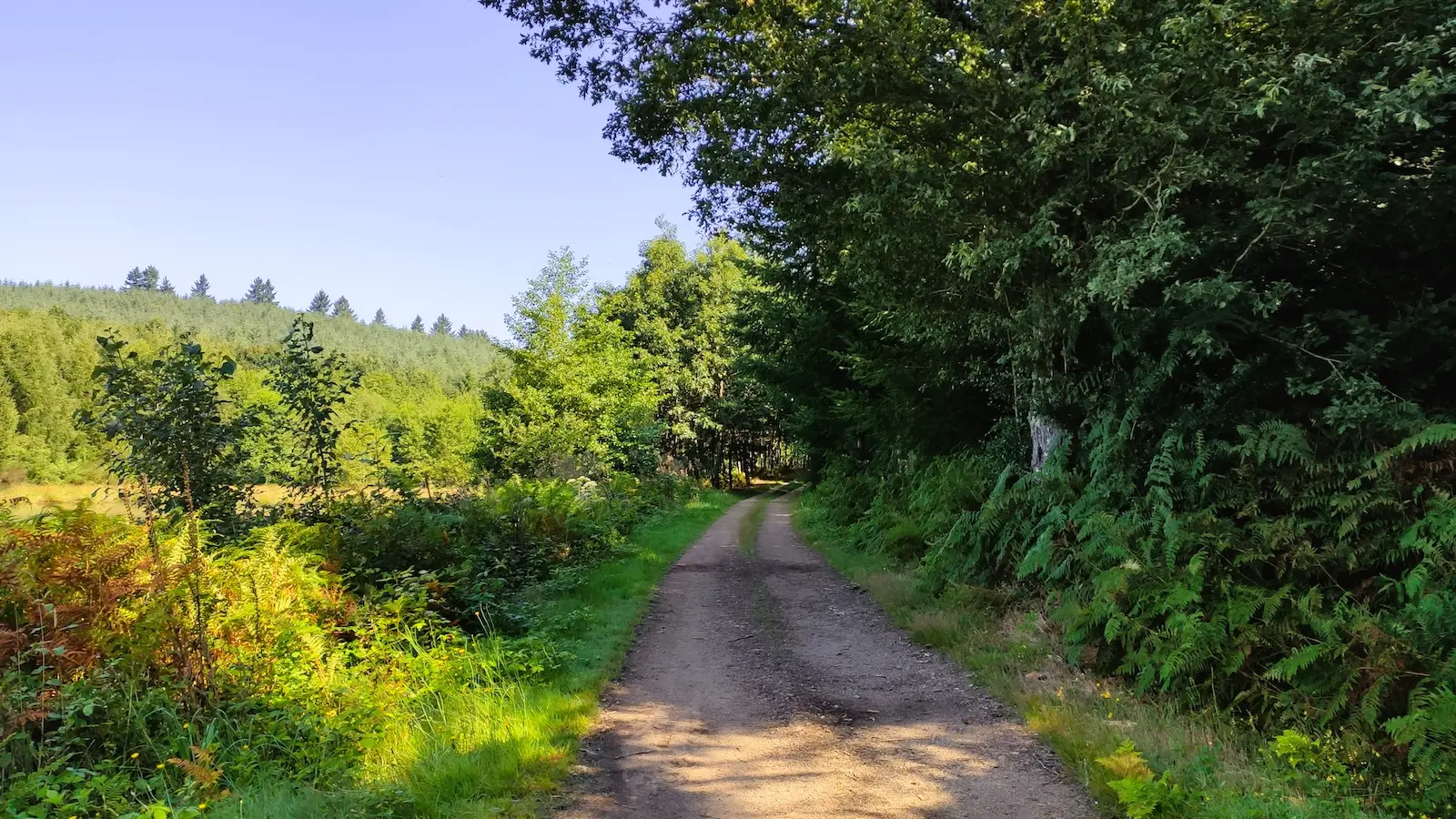 Champnétery - Circuit des cimes