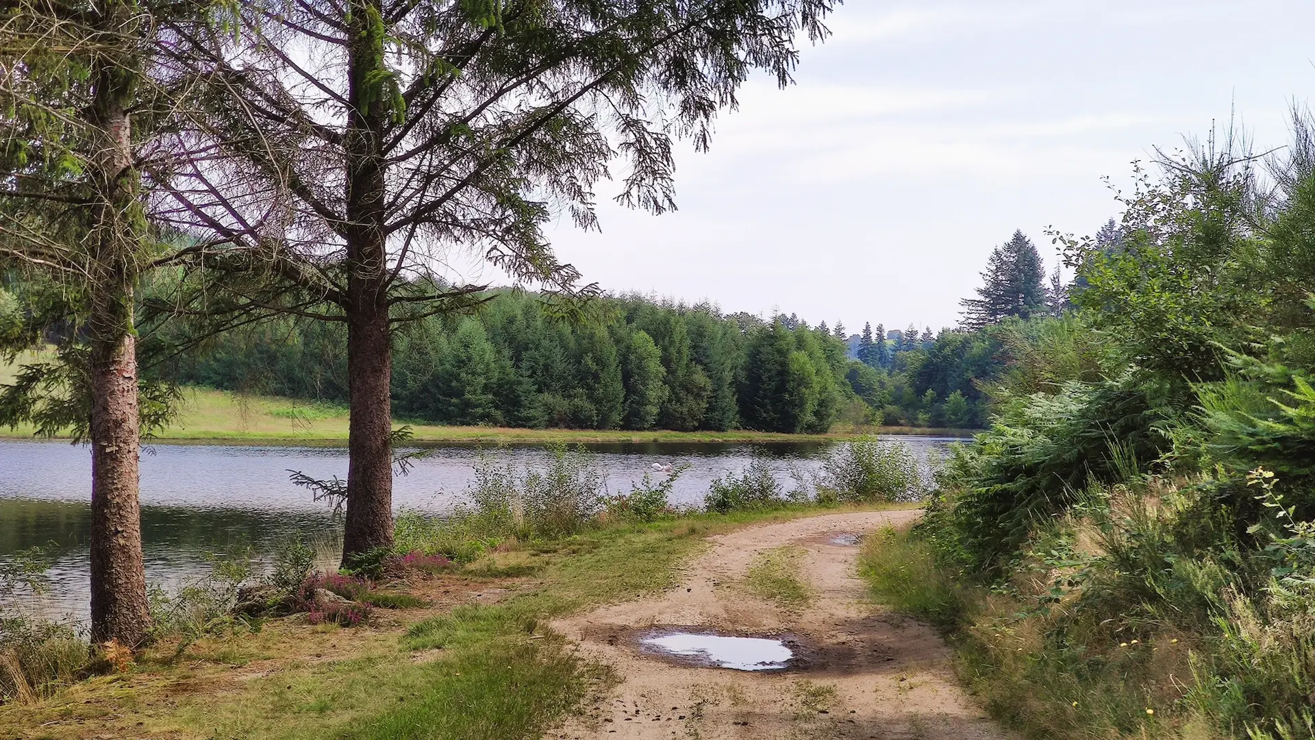 Champnétery - Étang de Grosland