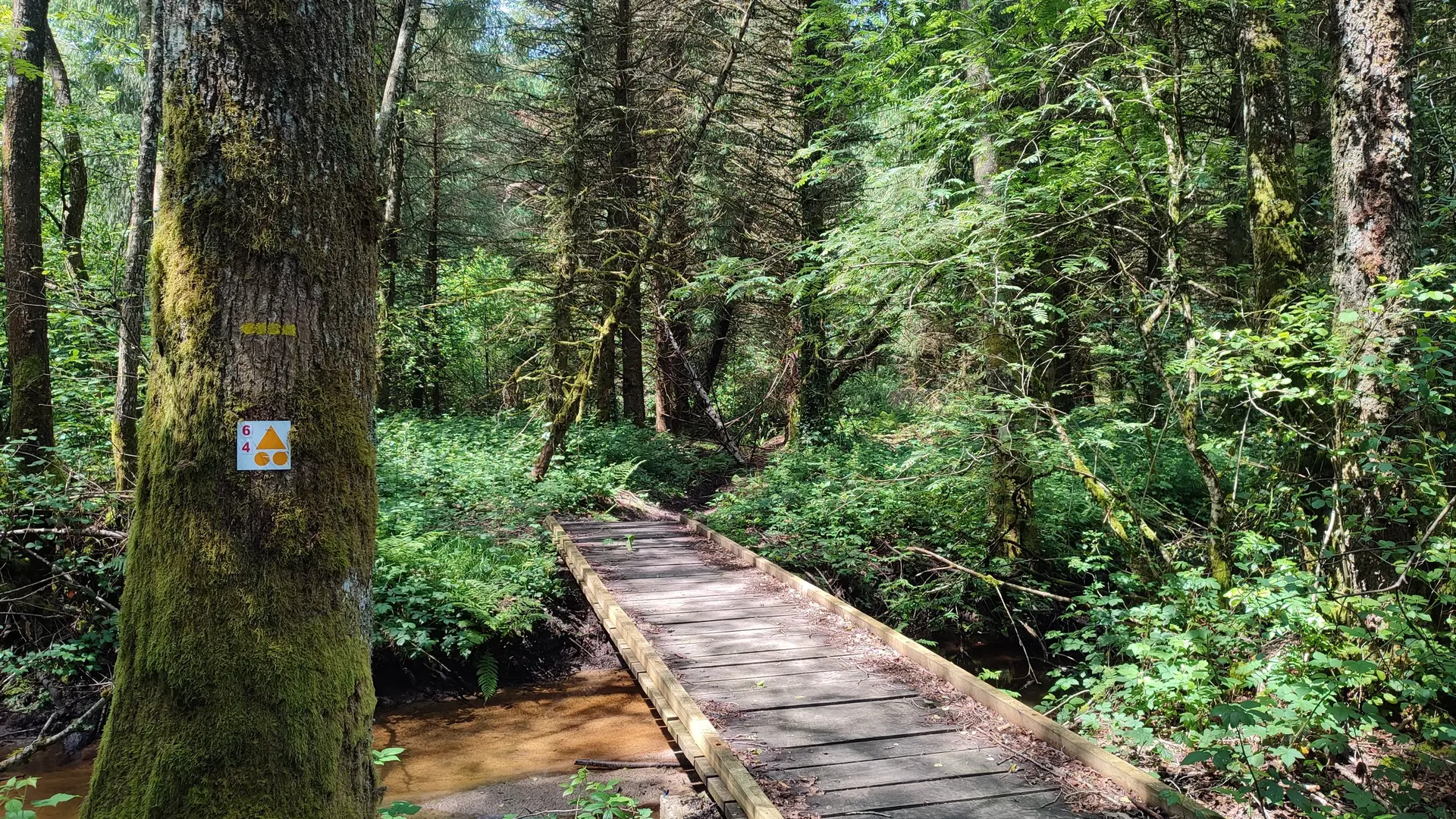 Champnétery - Pont sur l'Alesmes - Pays Monts et Barrages - Aurélien Clavreul (2)