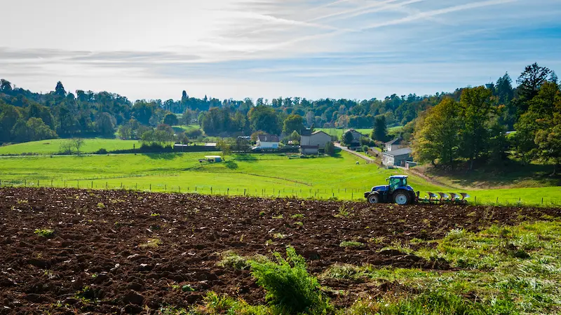 Chaptelat catalacoise 3