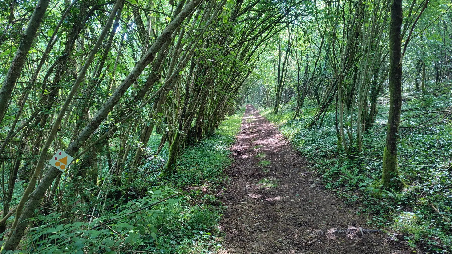 Cheissoux - Sur le chemin de Barabant au Moulin de la Farge - Pays Monts et Barrages - Aurélien Clavreul