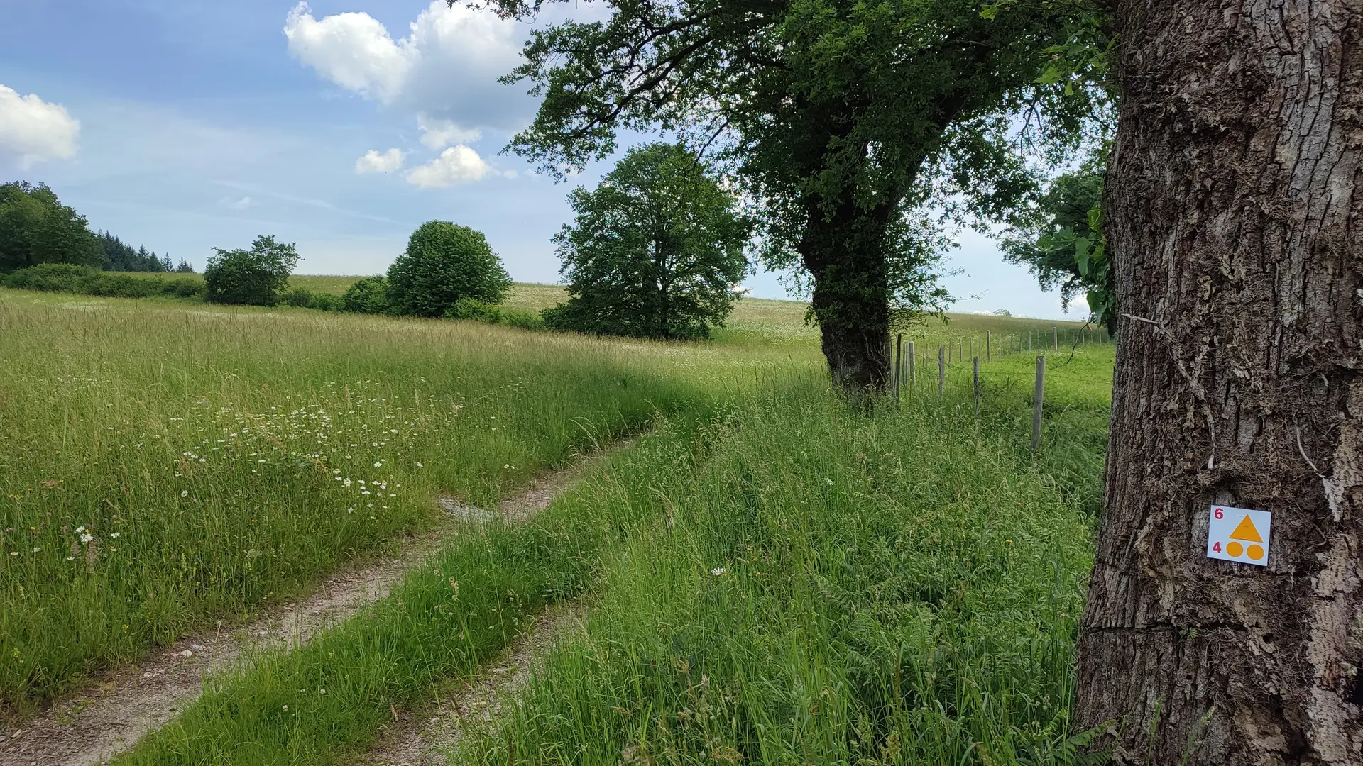Cheissoux - le Fondreaud - Circuits VTT 4 et 6 - Pays Monts et Barrages - Aurélien Clavreul