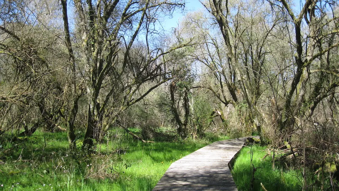 Chemin Yourcenar au début du printemps