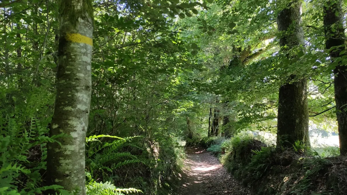 Chemin creux de Beaumont-du-Lac - (c)Pays Monts et Barrages