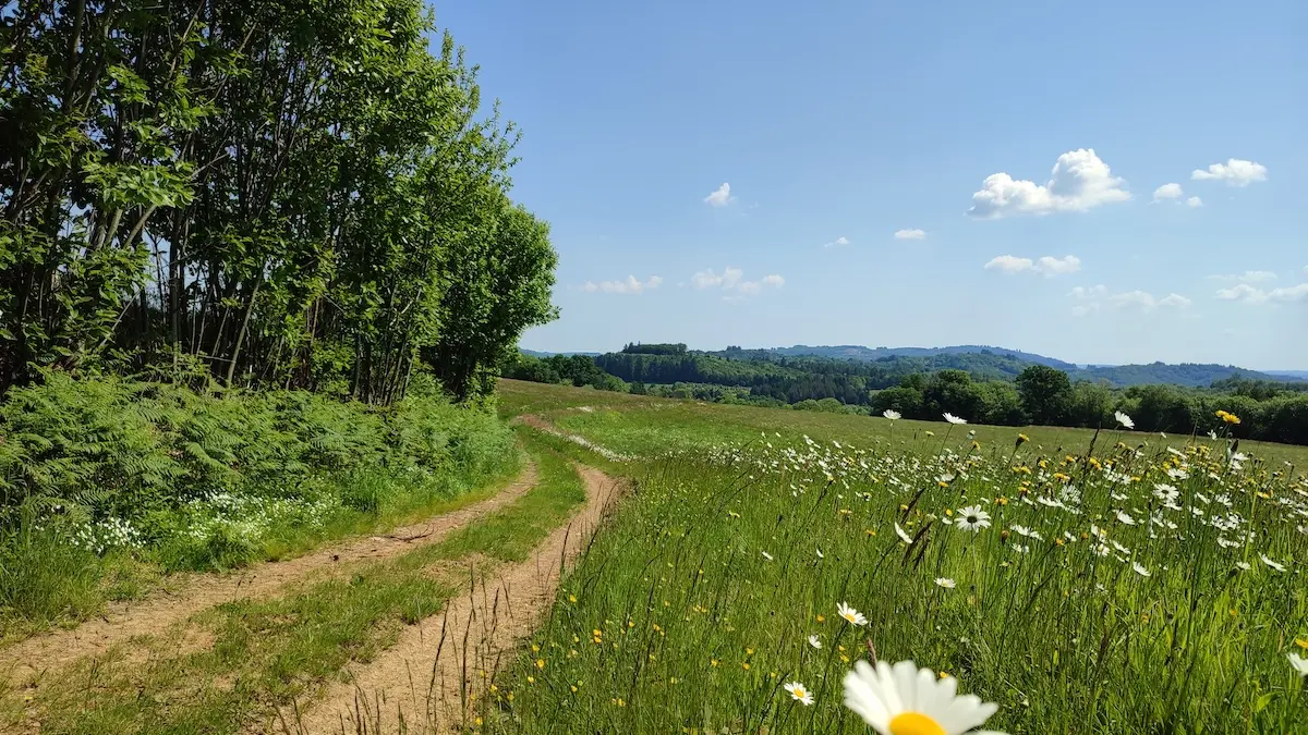 Chemin de la Goutte - Cheissoux