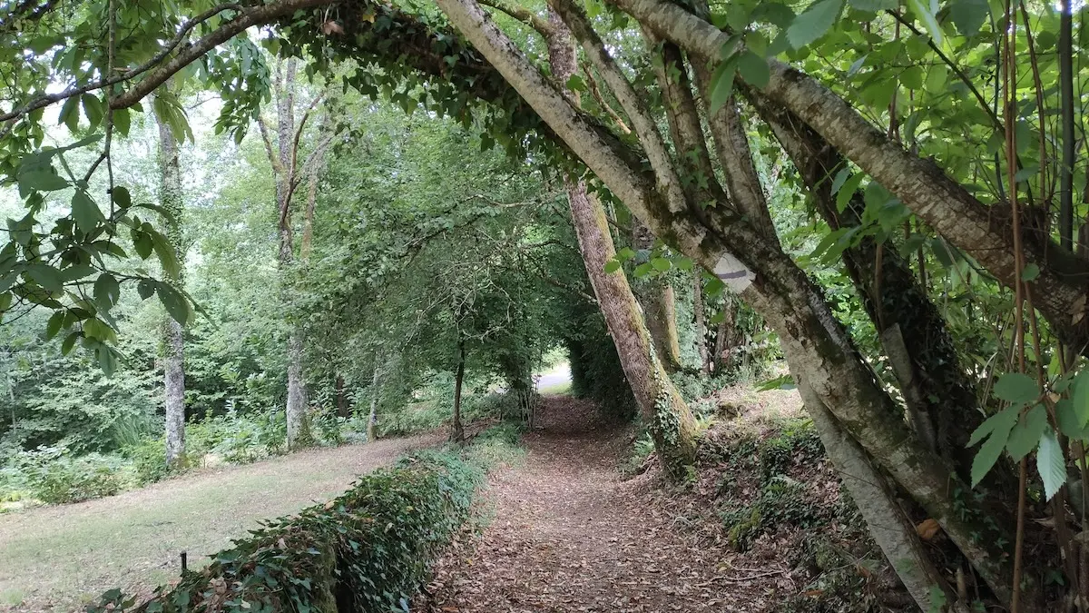 Chemin du Larron(c)Pays Monts et Barrages