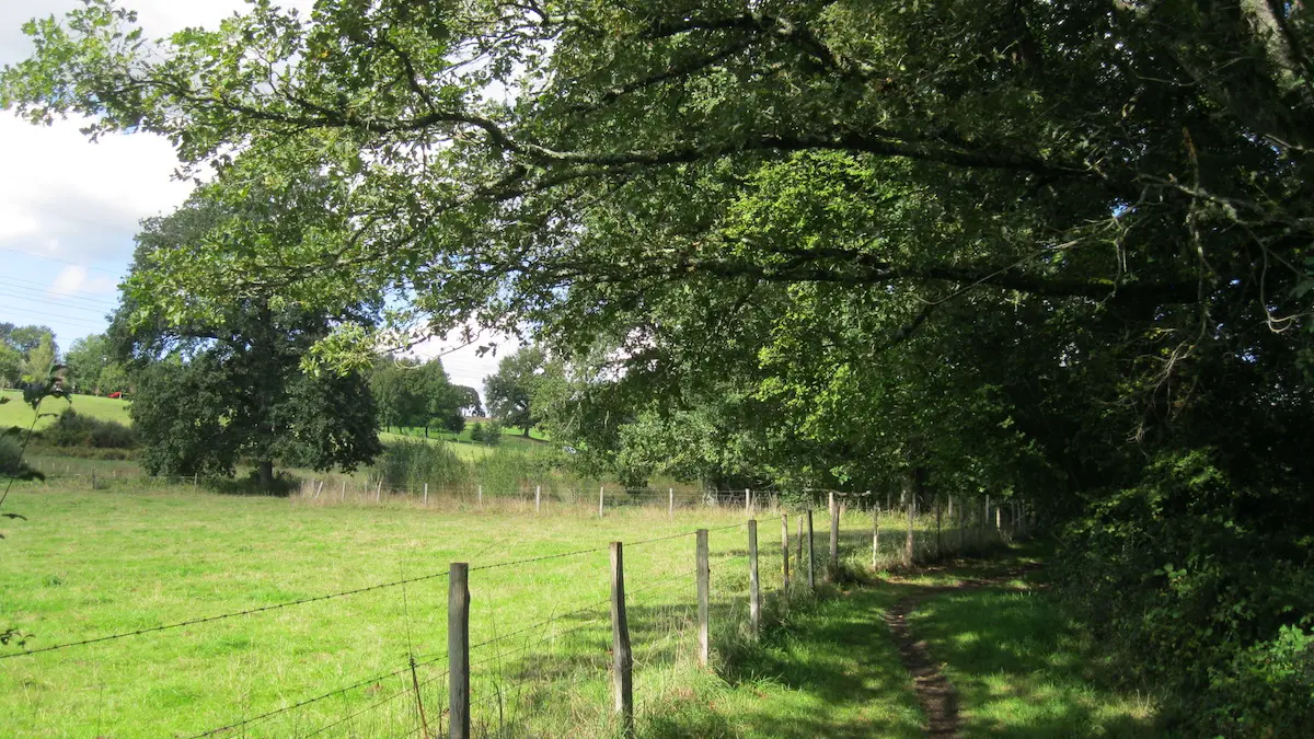 Chemin du Moulin Blanc