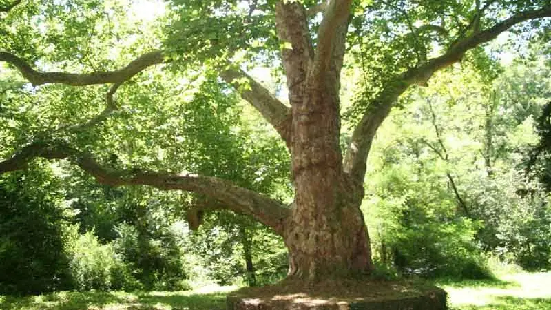 Circuit des diligences_2