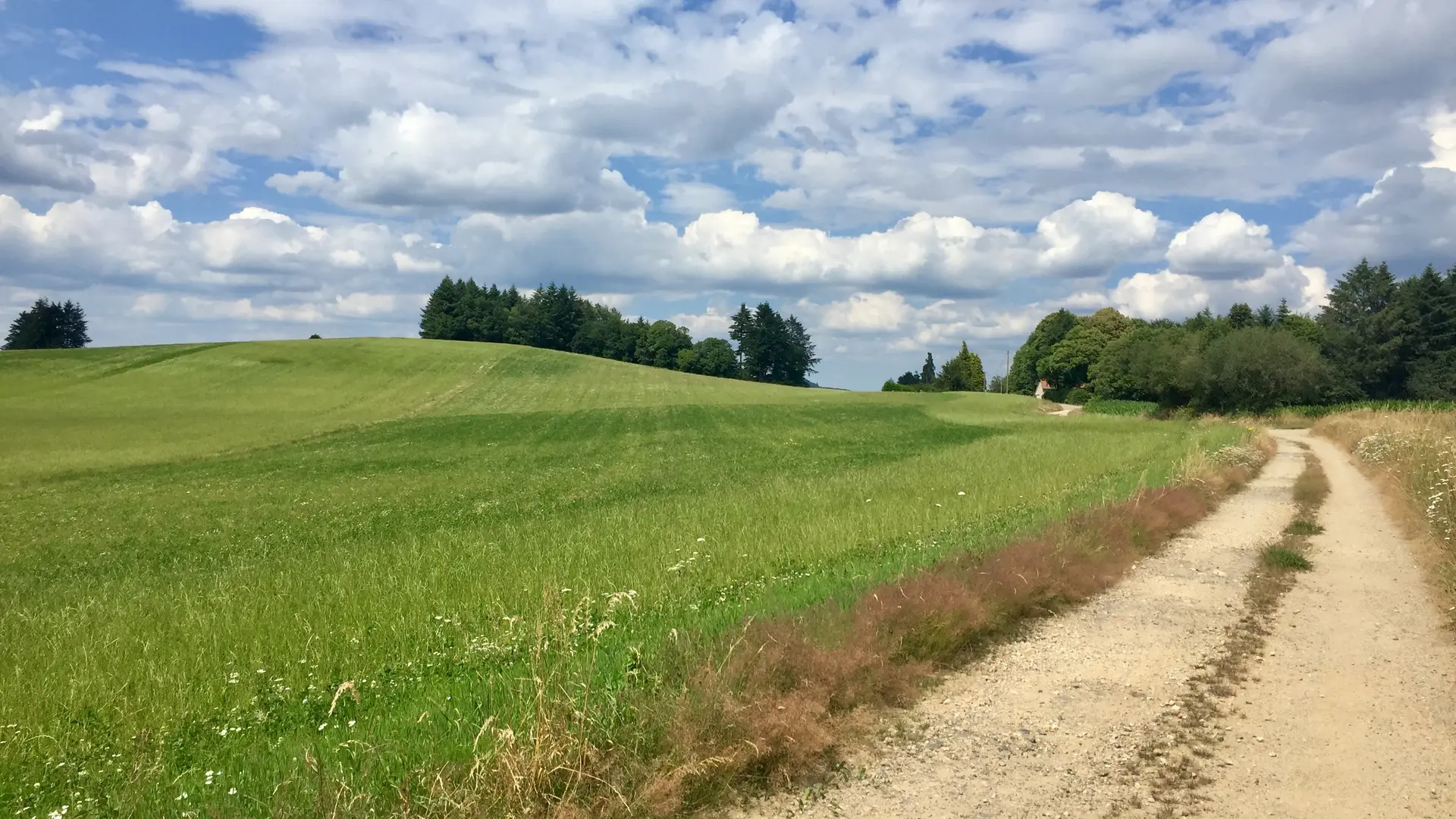 Circuit Cheissoux  (9)