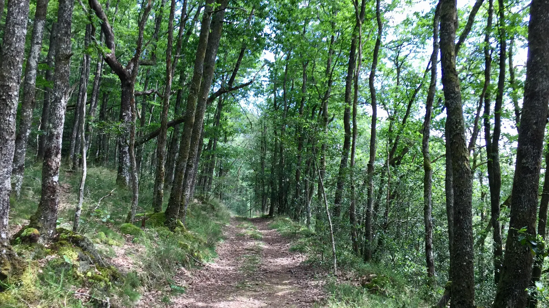 Circuit chapelle Grigeas