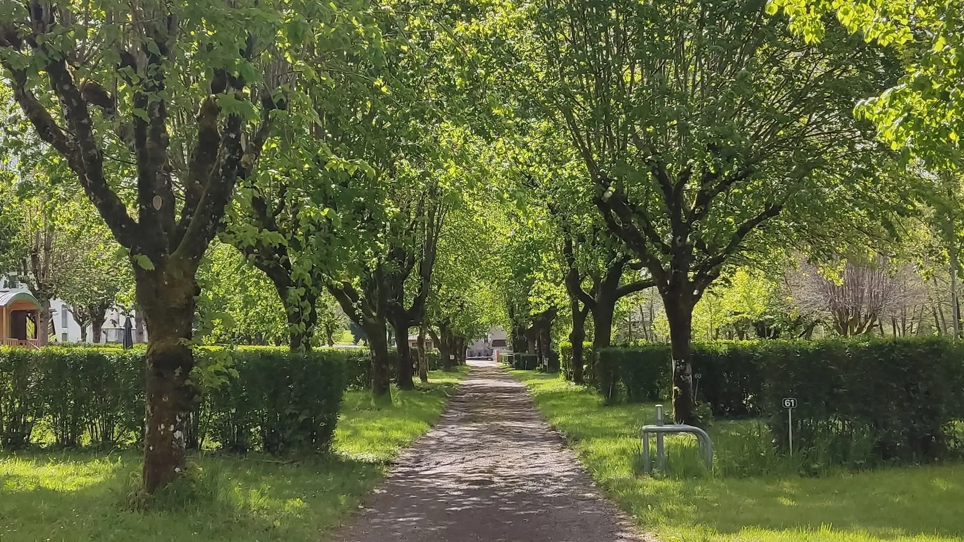 Camping de Beaufort - Allée