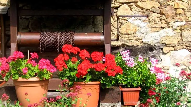 Sentier La Voie romaine_1