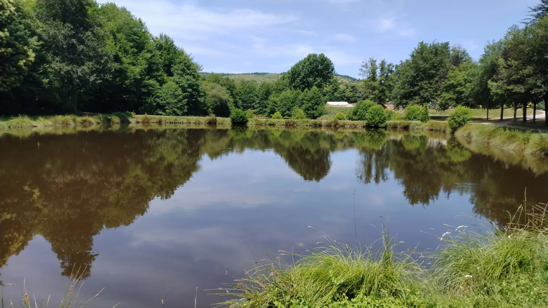 DomaineMuret_Etang