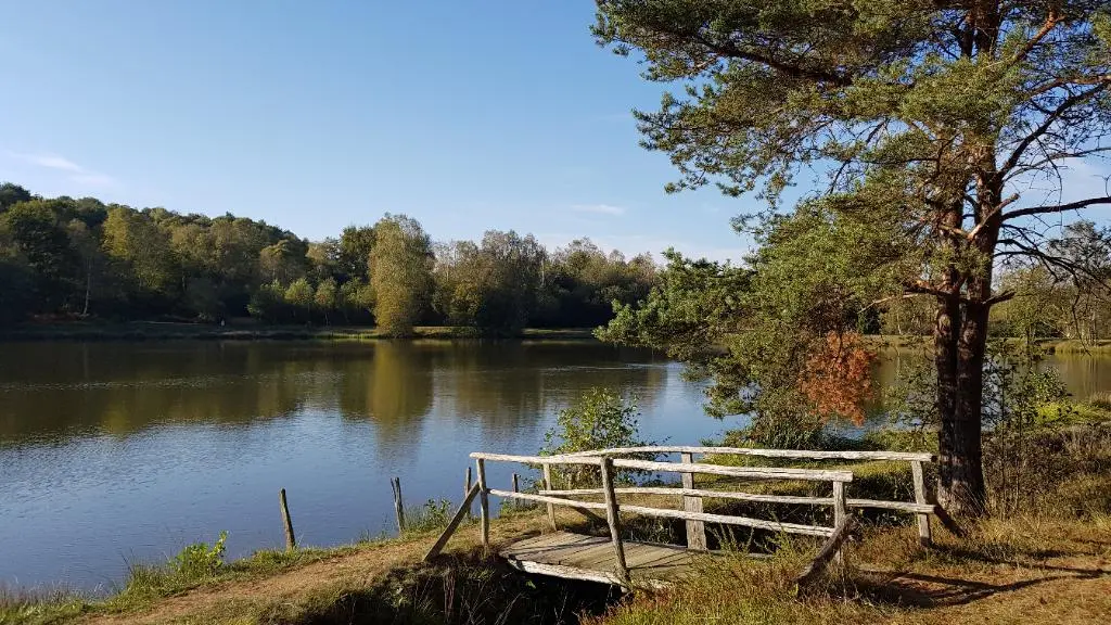 Landes des pierres du mas