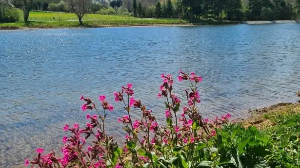 Etang de Riffataire