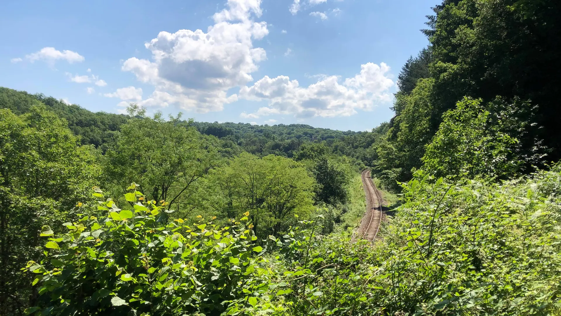 Eymoutiers_Gorges de la Vienne