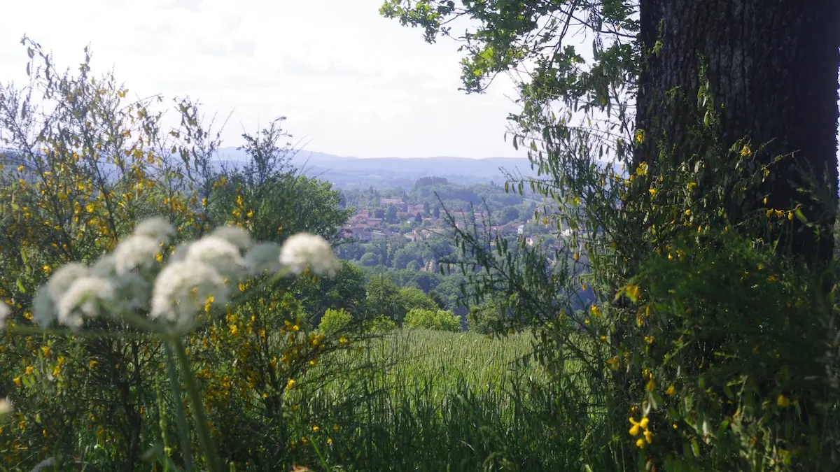 Fenêtre paysagère sur Bujaleuf depuis le chemin de la Goutte