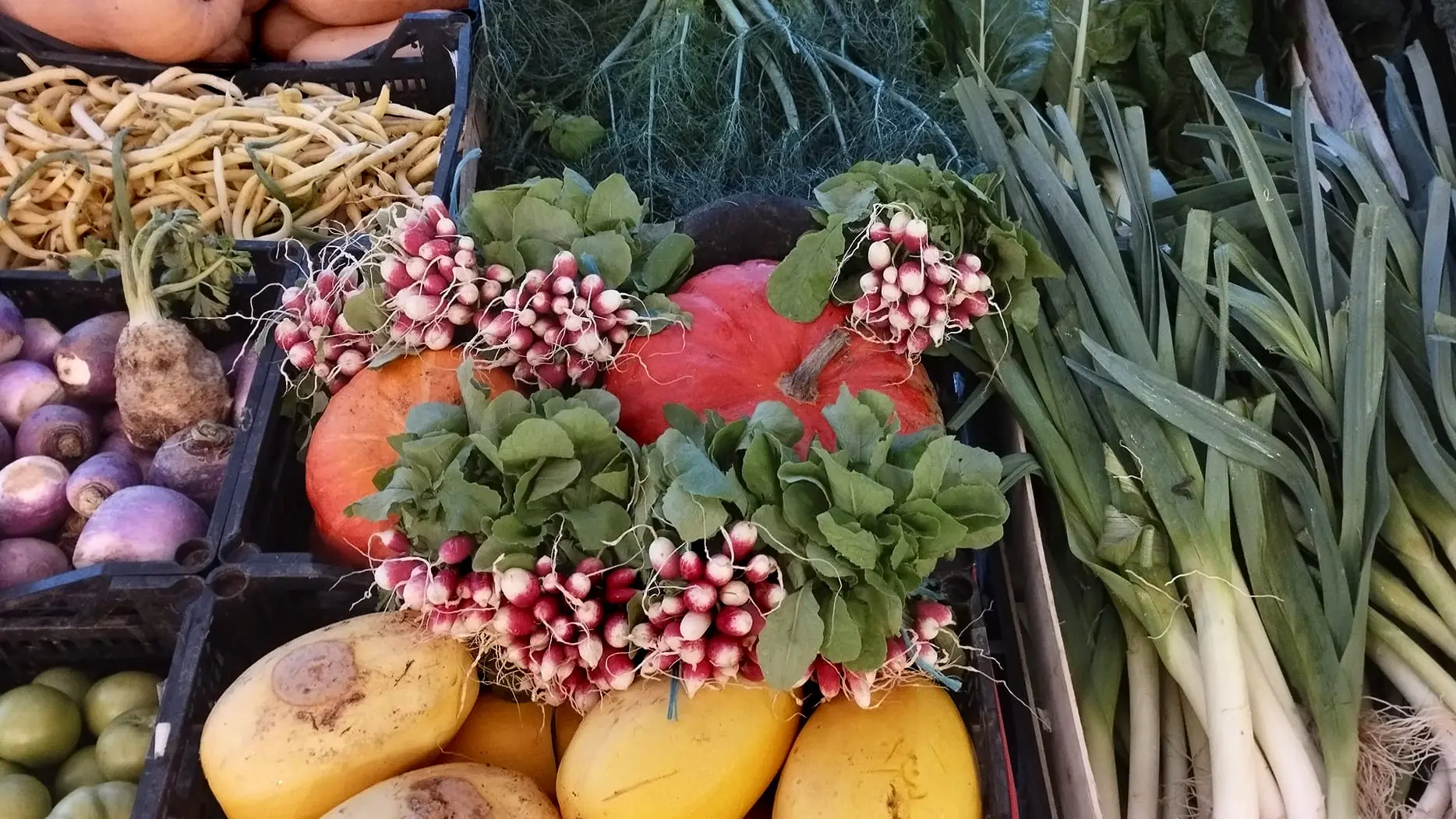 Ferme de la chabasse Légumes