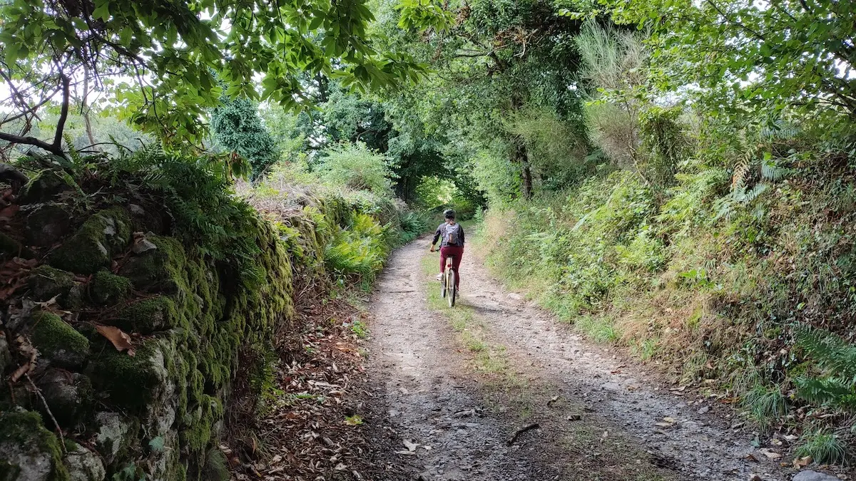 GRPMBL - Chemin creux - VTT - Villavaleix - Sainte-Anne-Saint-Priest (c) Pays Monts et Barrages
