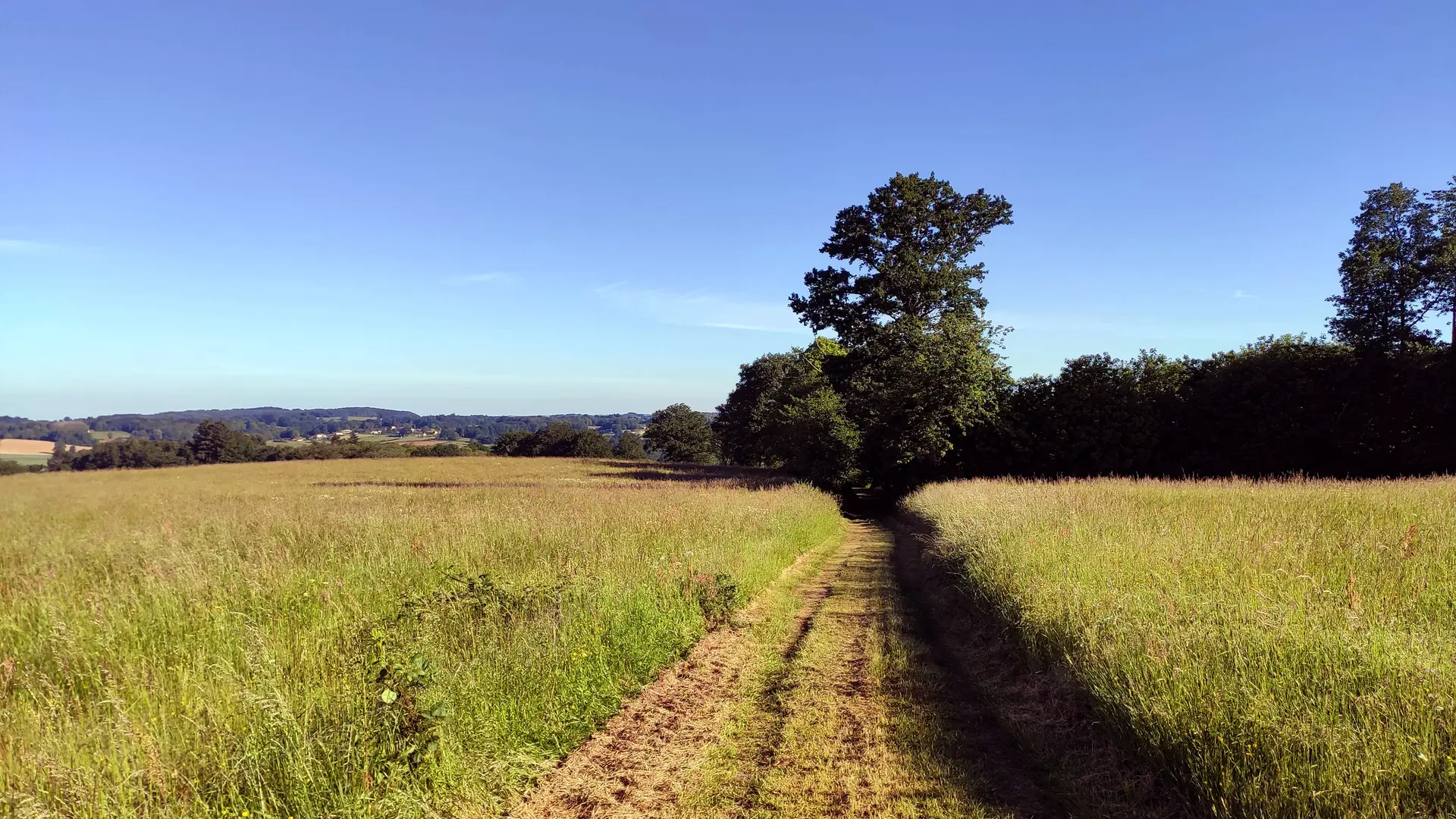 Sur le chemin de Fleurat (Saint-Méard)
