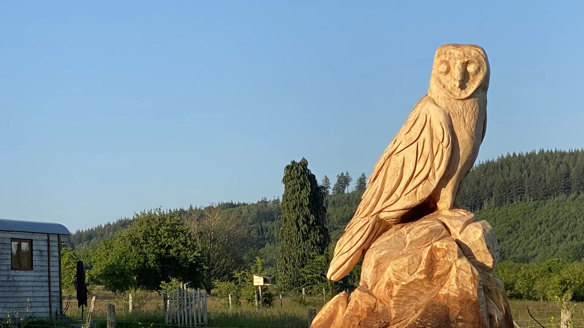 La gardienne des lieux.