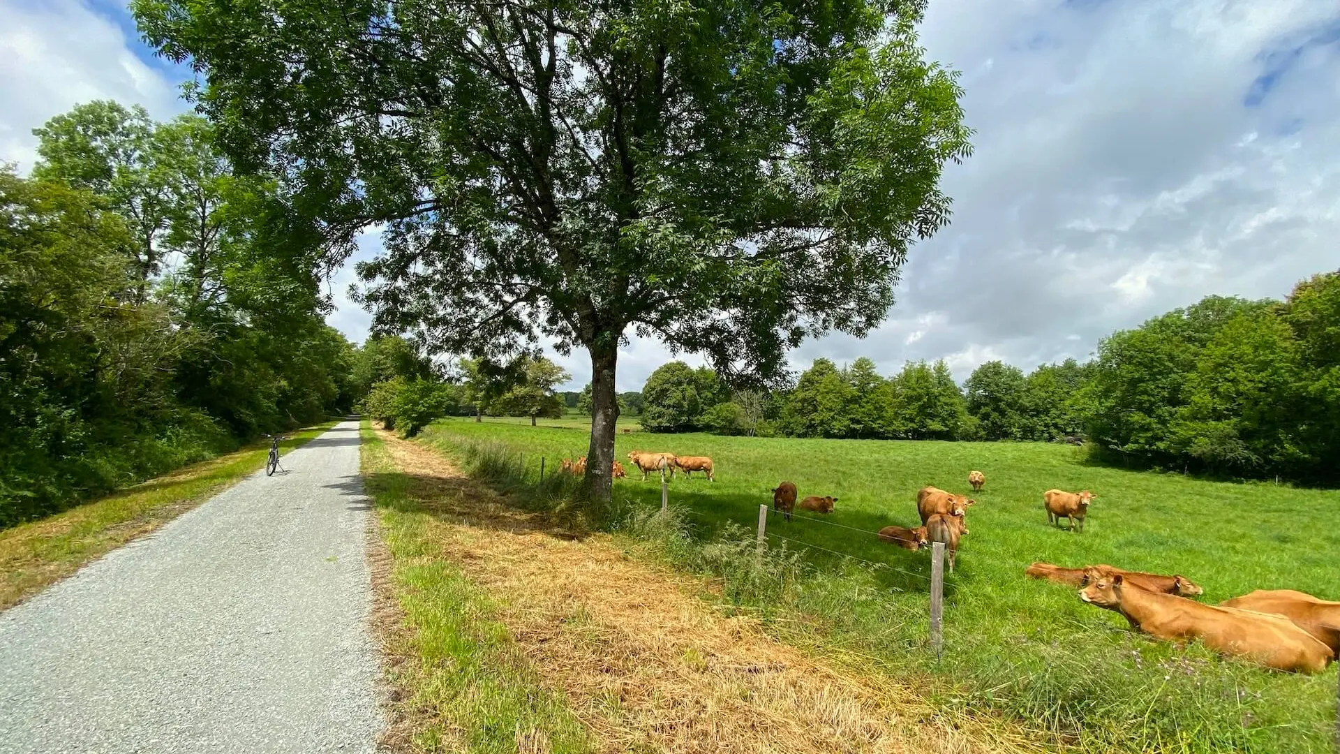Voie Verte du Haut Limousin
