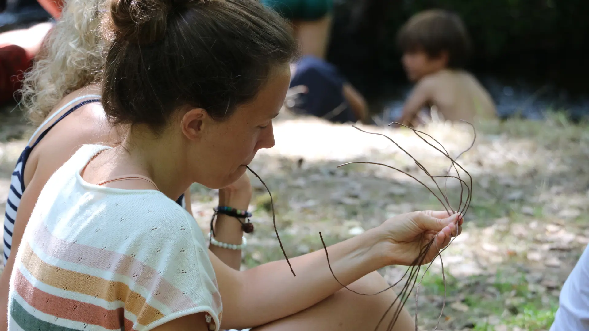 animation dans les bois