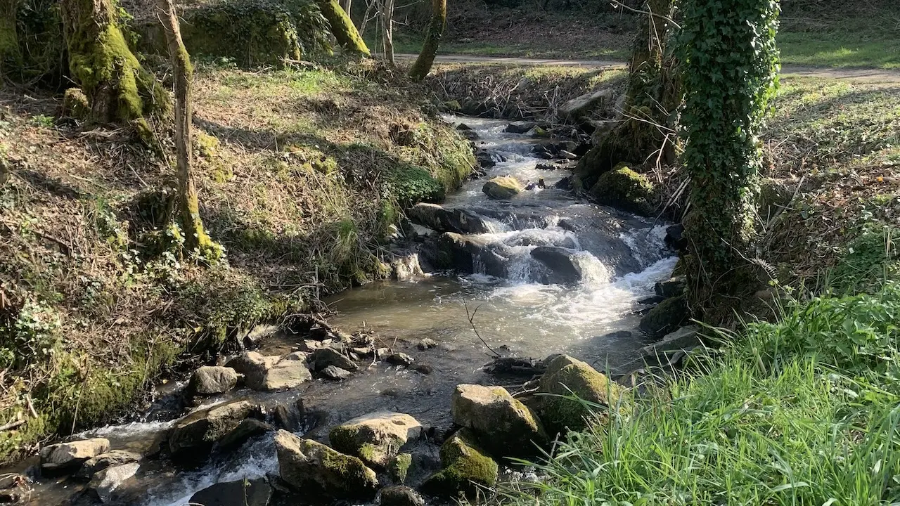 les rives du rigouroux