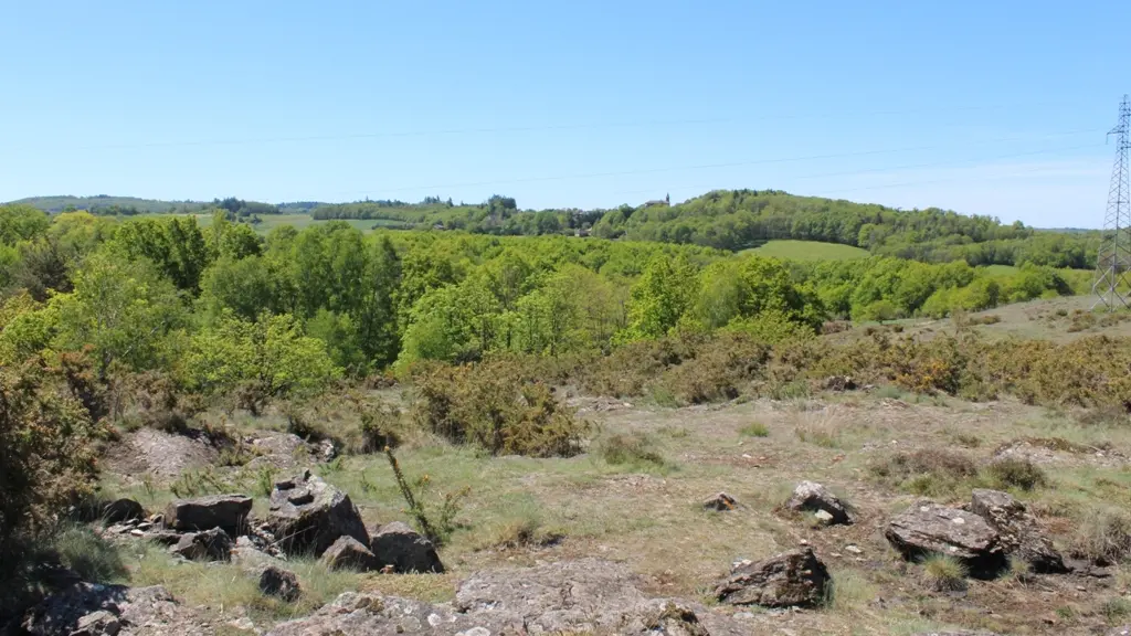 Lande de Saint-Laurent