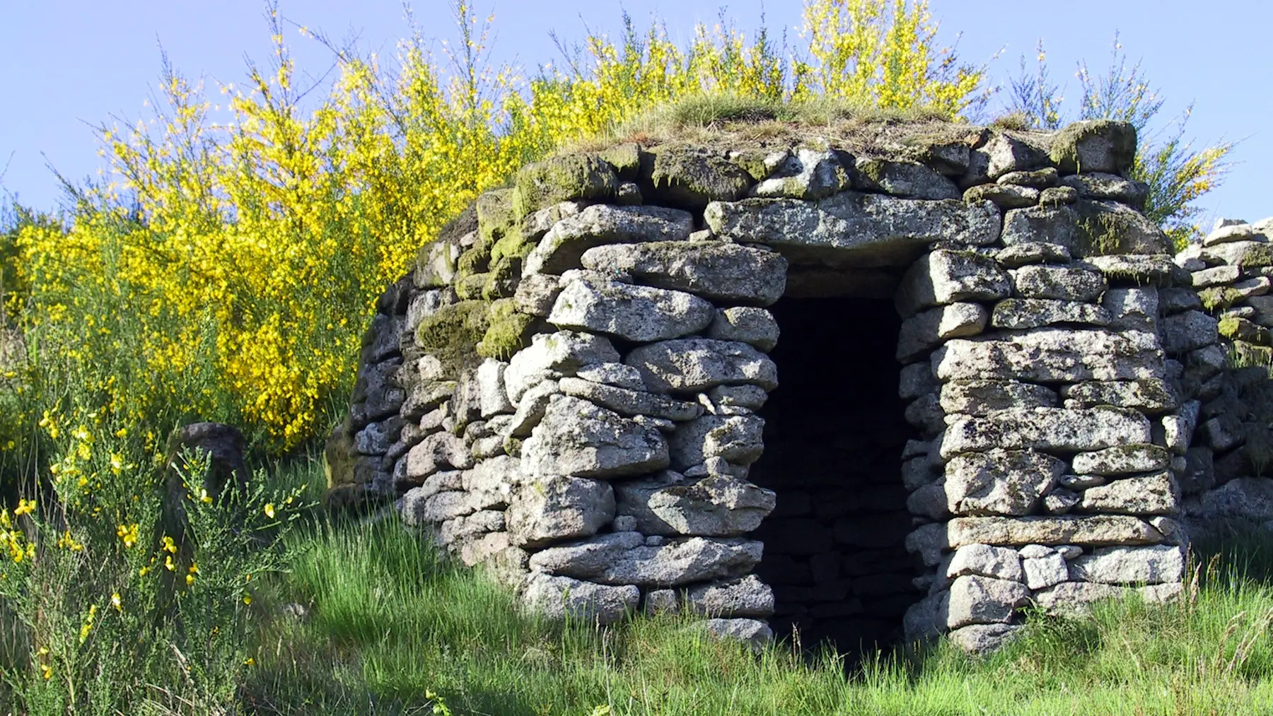 Loge de berger au Puy des Roches