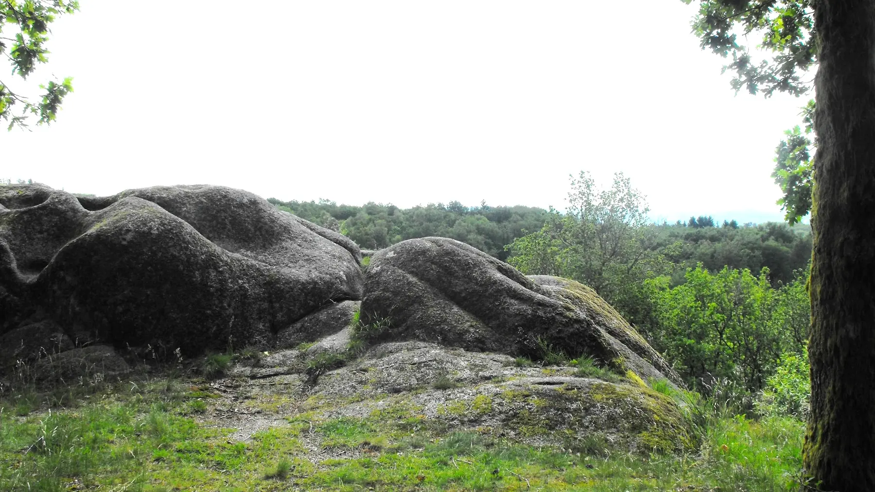 La Roche Guéry - A proximité du Puy des Roches