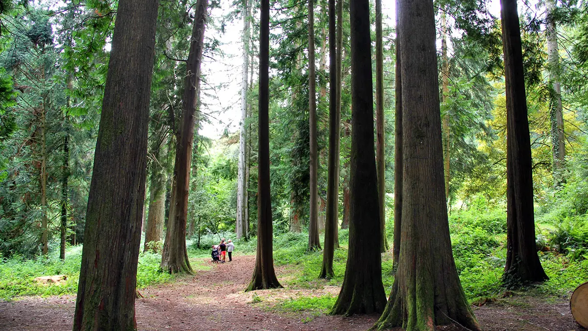 LA JONCHERE Arboretum