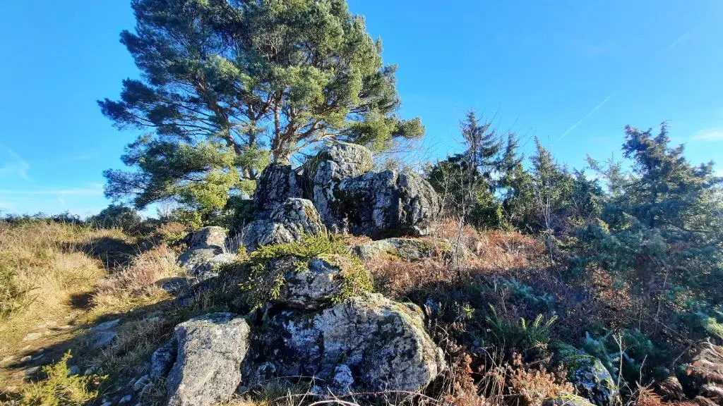 Landes des pierres du mas